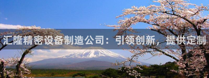 彩神输的钱是赌博还是诈骗：汇隆精密设备制造公司：引领创新，提供定制