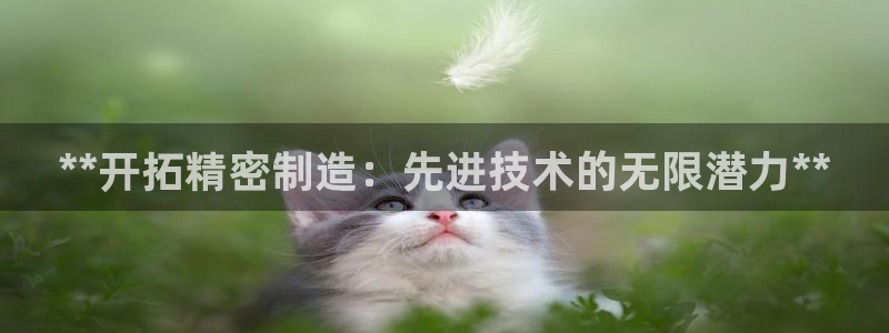 彩神v8下载app：**开拓精密制造：先进技术的无限潜力**