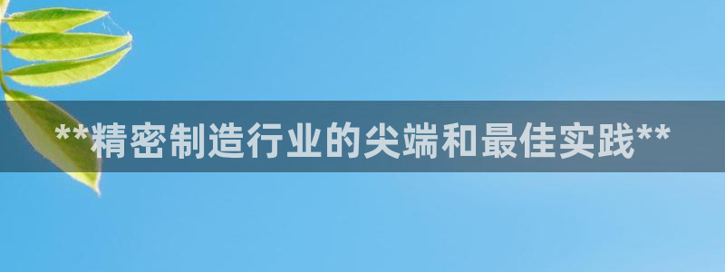彩神是什么平台：**精密制造行业的尖端和最佳实践**