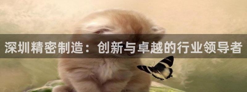 彩神Vll：深圳精密制造：创新与卓越的行业领导者
