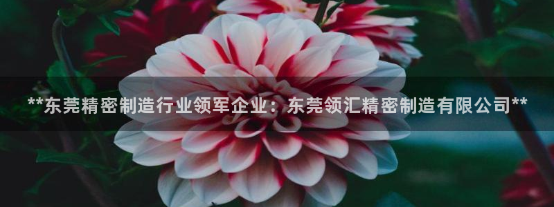 彩神vⅲ下载安装：**东莞精密制造行业领军企业：东莞领汇精密制造有限公司**