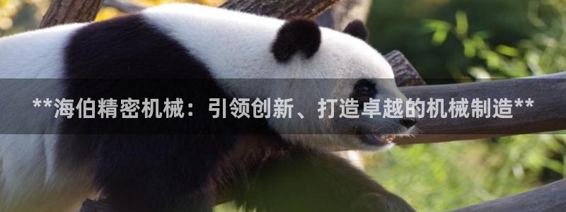 彩神v8下载app：**海伯精密机械：引领创新、打造卓越的机械制造**