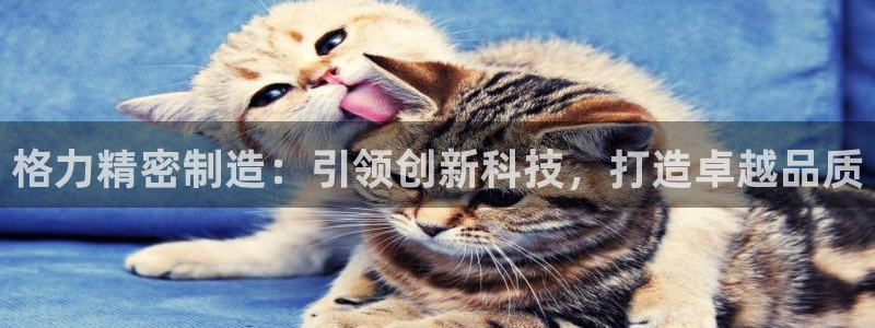 彩神争霸老平台：格力精密制造：引领创新科技，打造卓越品质