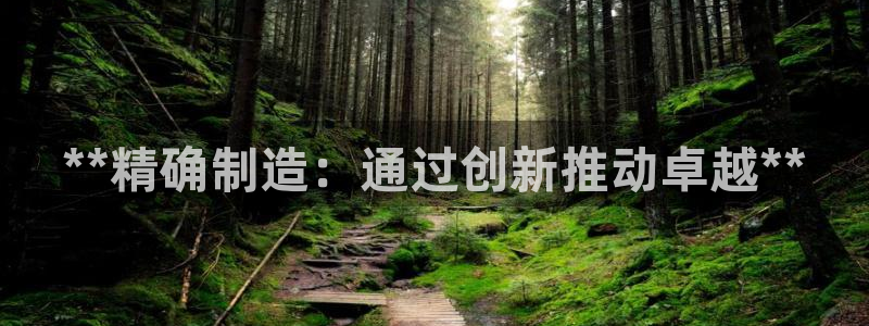 彩神v8手机客户端下载：**精确制造：通过创新推动卓越**