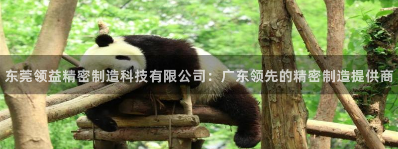 彩神是正规平台吗安全吗