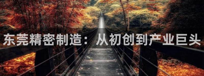彩神8app官方下载