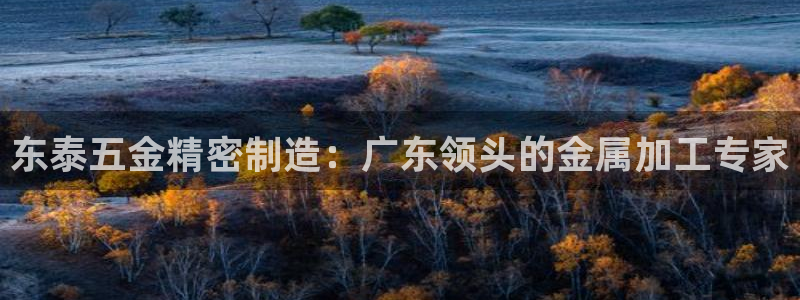 彩神v大众娱乐