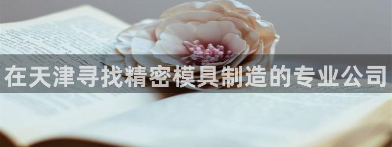 彩神平台是什么套路：在天津寻找精密模具制造的专业公司