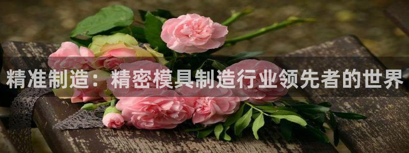 下载彩神乐发V
