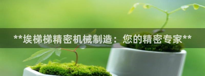 彩神赢了钱登录不上去：**埃梯梯精密机械制造：您的精密专家**