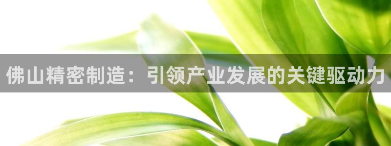 大发彩神官网下载