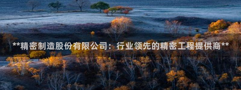 彩神V官网