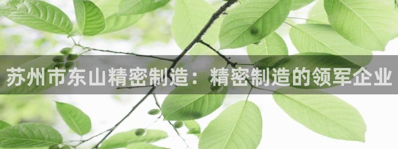 彩神ll能赚钱吗