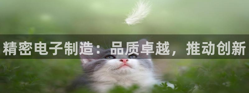 彩神viii下载安卓