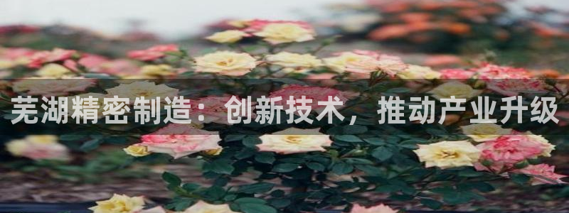 彩神网合法吗