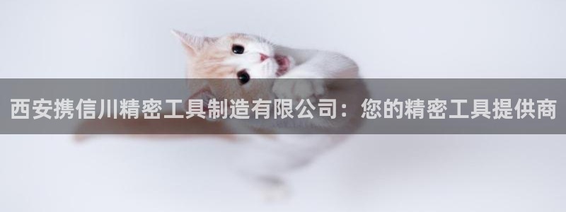 彩神vl购彩大厅