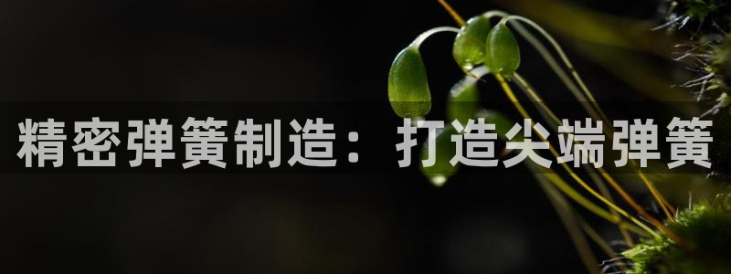 彩神ios下载