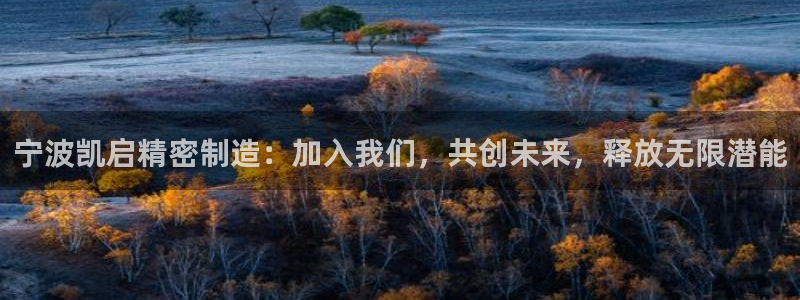 v大发彩神8iii