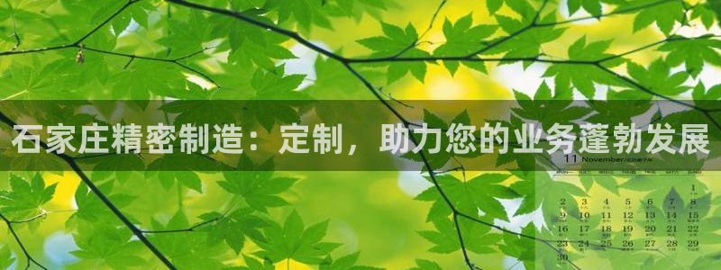 彩神V购彩大厅