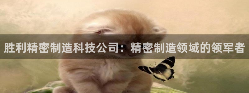 彩神v违法么