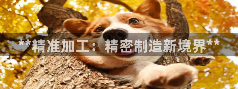 彩神ix官网是哪个公司的：**精准加工：精密制造新境界**