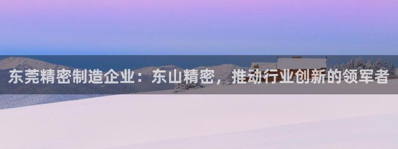 彩神团队是真的吗：东莞精密制造企业：东山精密，推动行业创新的领军者