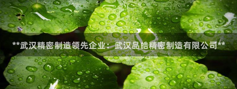 彩神平台：**武汉精密制造领先企业：武汉品皓精密制造有限公司**