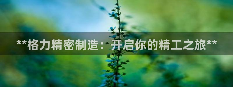 彩神ix能赚钱吗
