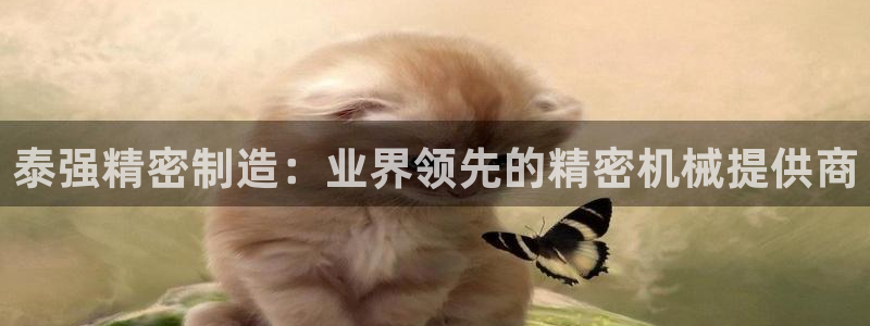 彩神x平台靠什么盈利：泰强精密制造：业界领先的精密机械提供商