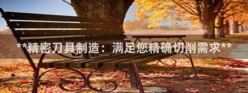 彩神VI首页：**精密刀具制造：满足您精确切削需求**