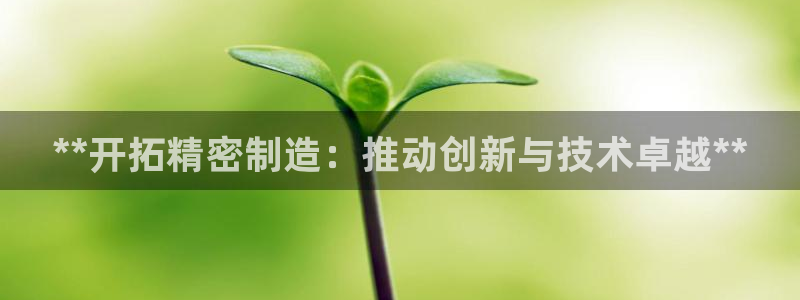 彩神平台是真的吗：**开拓精密制造：推动创新与技术卓越**