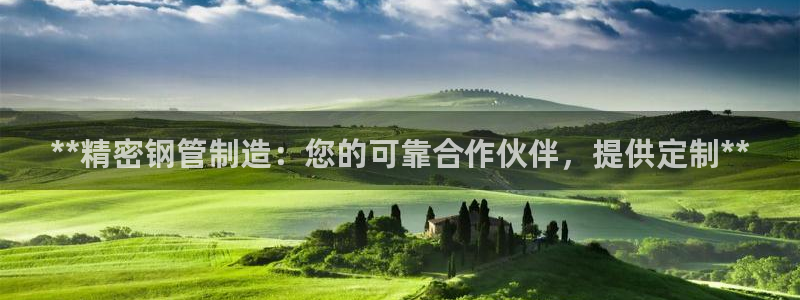 彩神赢了钱登录不上去：**精密钢管制造：您的可靠合作伙伴，提供定制**