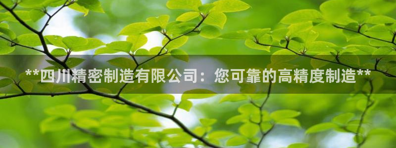 彩神骗局：**四川精密制造有限公司：您可靠的高精度制造**