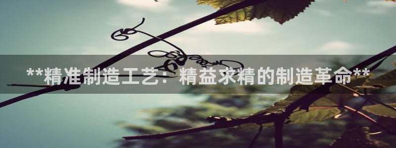 彩神ios下载：**精准制造工艺：精益求精的制造革命**