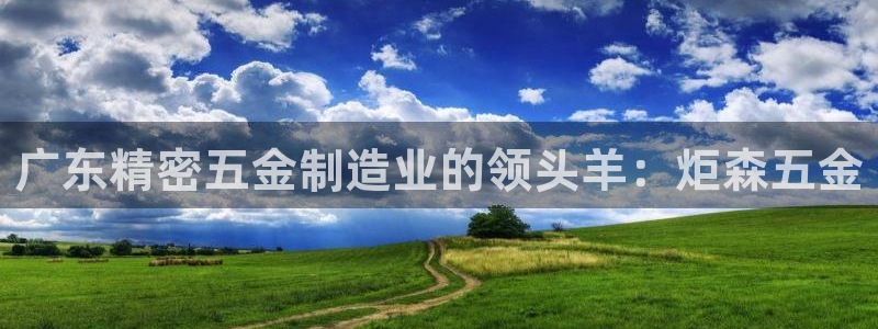 大发彩神官网下载：广东精密五金制造业的领头羊：炬森五金