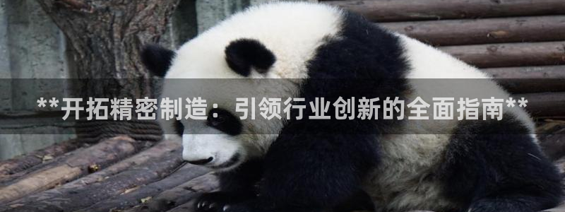 彩神的邀请码是多少：**开拓精密制造：引领行业创新的全面指南**