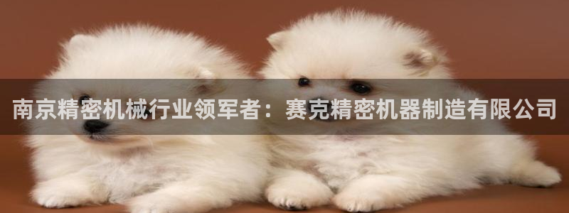 彩神v争霸有限公司