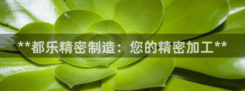 彩神ix是真的吗：**都乐精密制造：您的精密加工**