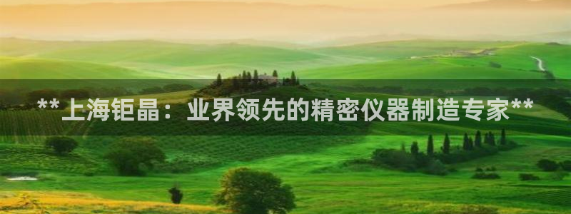 彩神购彩-购彩大厅入口老版：**上海钜晶：业界领先的精密仪器制造专家**
