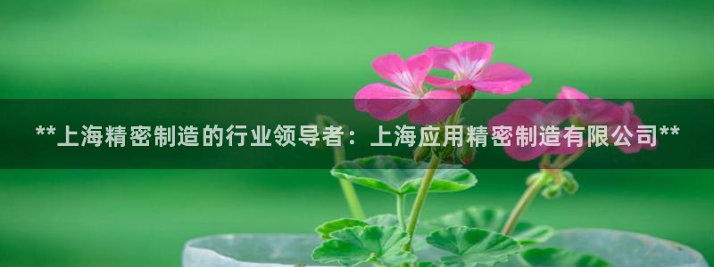 彩神网官网登录