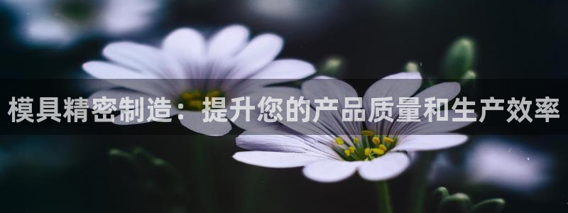 彩神8官网版是正规的吗：模具精密制造：提升您的产品质量和生产效率