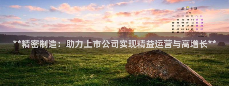 彩神Vll购彩大厅：**精密制造：助力上市公司实现精益运营与高增长**