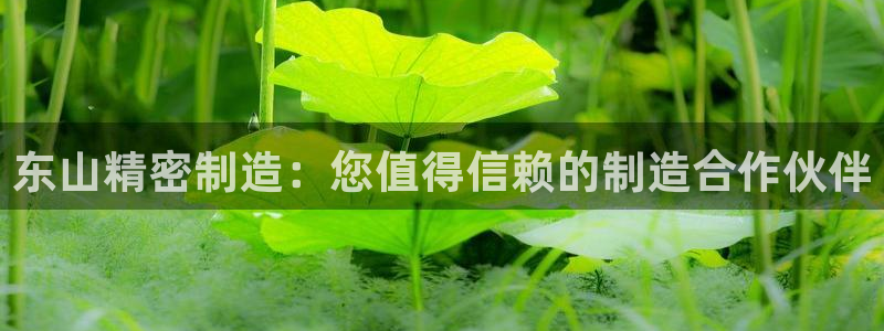 彩神8官网合法吗：东山精密制造：您值得信赖的制造合作伙伴
