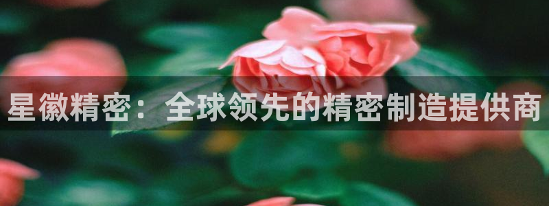 彩神通关注码金码对应码：星徽精密：全球领先的精密制造提供商