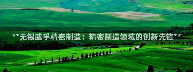 彩神赢钱了吗是真的吗：**无锡威孚精密制造：精密制造领域的创新先锋**