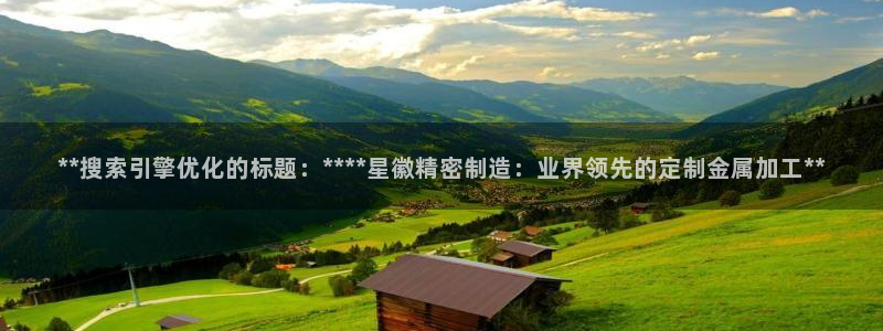 彩神争霸官方下载：**搜索引擎优化的标题：****星徽精密制造：业界领先的定制金属加工**