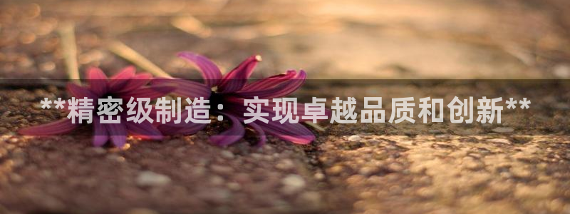 彩神争霸老平台：**精密级制造：实现卓越品质和创新**