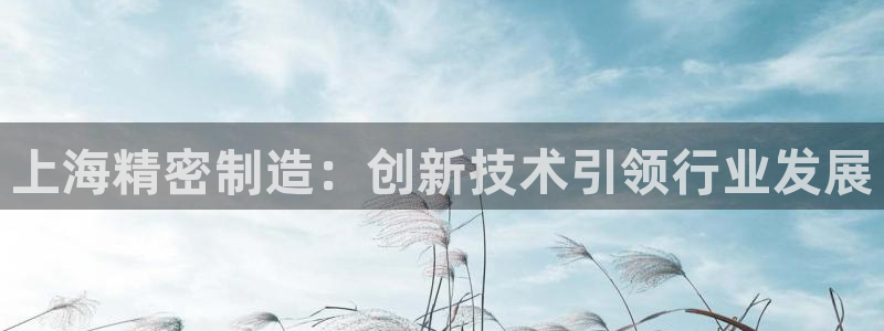 彩神旗下有哪些平台可以玩：上海精密制造：创新技术引领行业发展