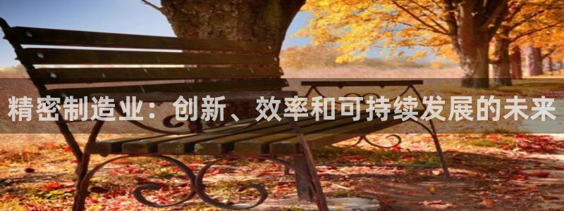 彩神V集团公司：精密制造业：创新、效率和可持续发展的未来