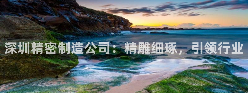 彩神争霸老平台：深圳精密制造公司：精雕细琢，引领行业